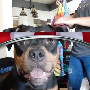 Meet your Posher, Brayden